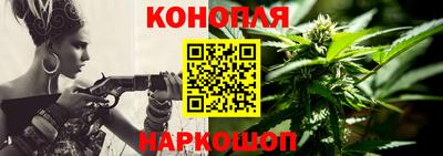гидропоника Гусиноозёрск