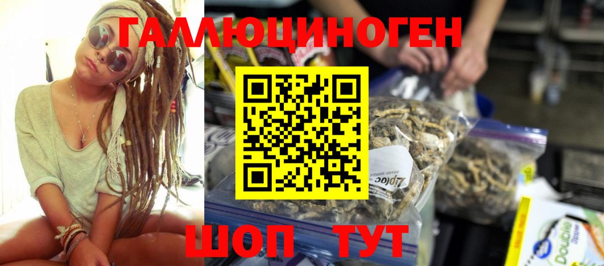 Псилоцибиновые грибы Psilocybe  сколько стоит  Мытищи  Вход с VPN 